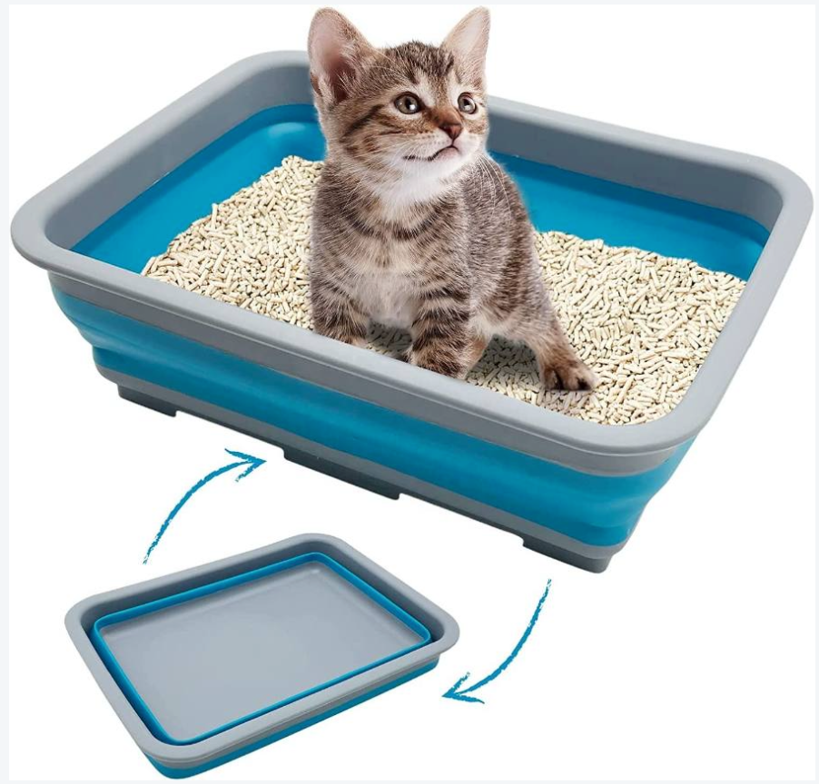 Paws & Utility: Everyday Cat & Dog Accessories