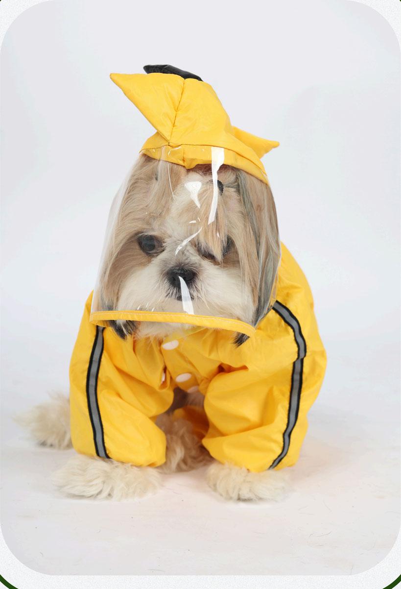 Monsoon Tails: Waterproof Protection Series