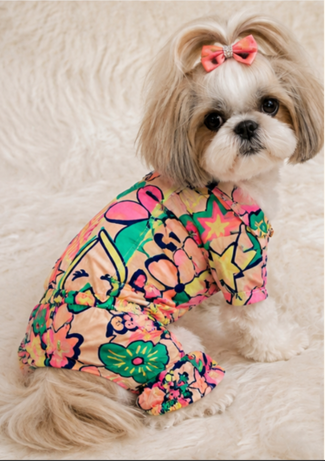 Vibrant Pop-Art Doodle Pet Jumpsuit