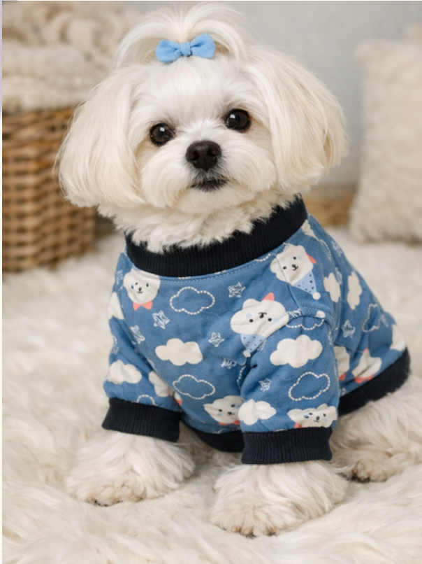 Dreamy Bear & Cloud Pet Sweatshirt