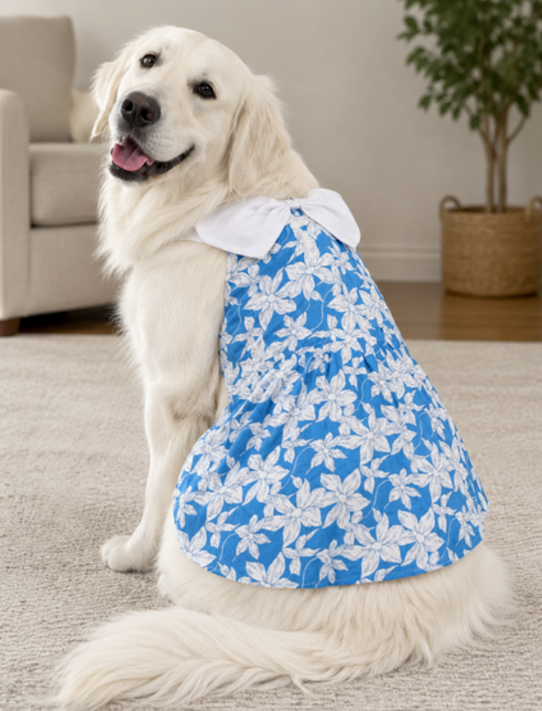 Blue Floral Pet Sundress with White Bow Collar
