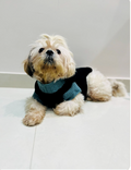 Hand-Crocheted Charcoal & Teal Pet Sweater Vest