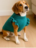 Teal Ruffled Sleeve Knitted Pet Sweater