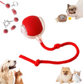 Pet Rolling Teaser Ball