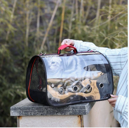 Transparent Capsule Pet Carrier Bag