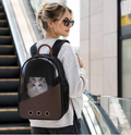 Square Foldable Adjustable Fashion Pet Bag
