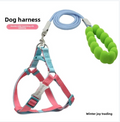 Escape-Resistant Dual-Color Harness with Ergonomic Silicone Handle
