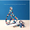 Geometric Printed Step-In Harness Set