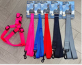 Heavy-Duty Adjustable Nylon Harness & Leash Set