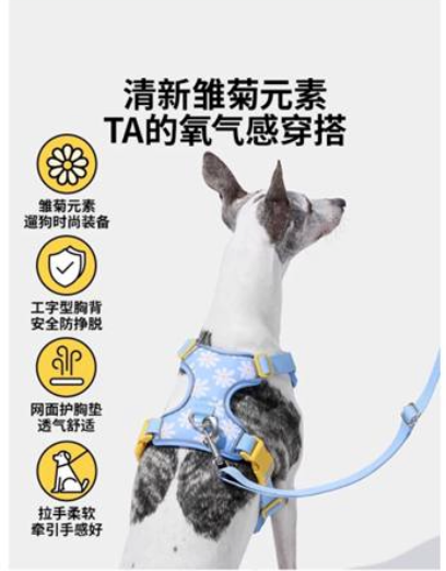 Floral Printed Padded Mesh Vest Harness Set