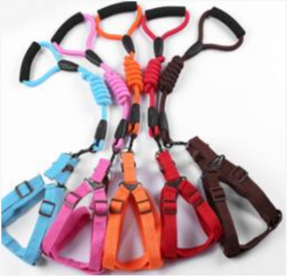 Thickened Nylon Rope Leash & Step-In Harness Set