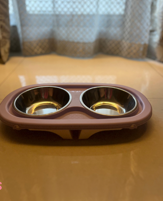 Elevated Dual Pet Bowl Stand with Removable Stainless Steel Inserts