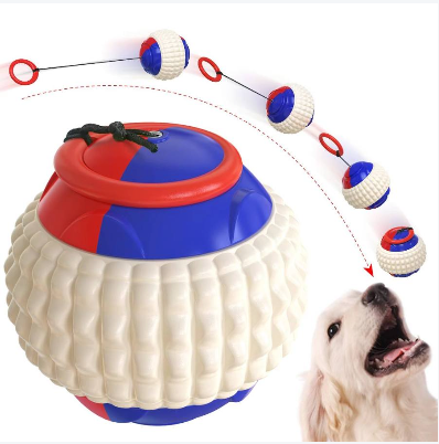 Interactive YoYo Ball Pet Toy
