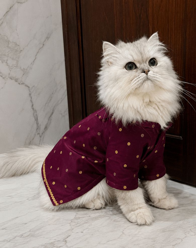 Festive Wine-Red Gold Polka Ethnic Kurta for Pets