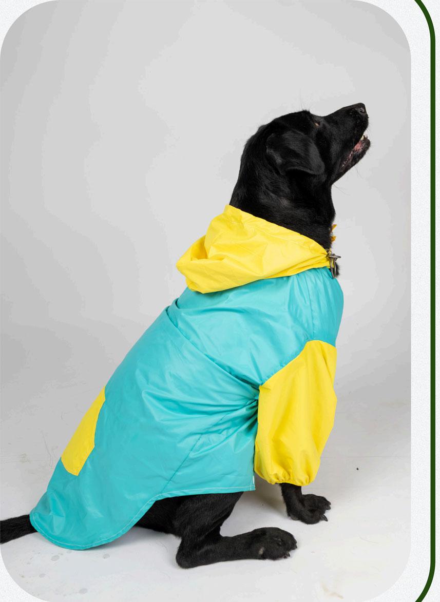 Retro Block Teal & Yellow Dog Raincoat