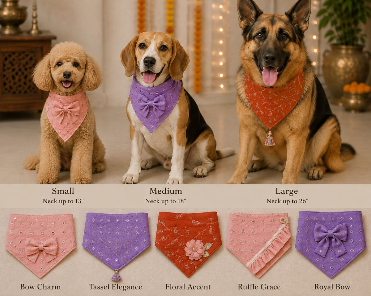 Festive Embellished Pet Bandana Collection for Dogs and Cats