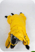 Full-Body All-Weather Yellow Pet Raincoat with Clear Face Shield
