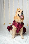 Festive Gold-Polka Traditional Ethnic Dress for Dogs