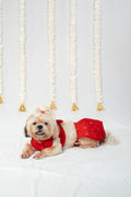 Festive Crimson Red Mirror-Work Ethnic Lehenga Dress for Dogs