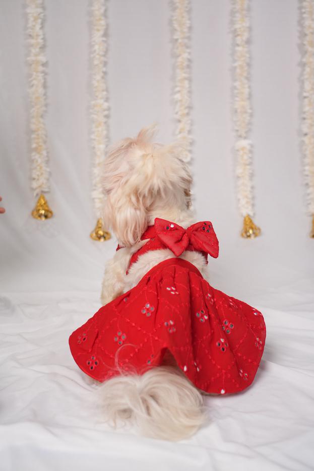 Festive Crimson Red Mirror-Work Ethnic Lehenga Dress for Dogs