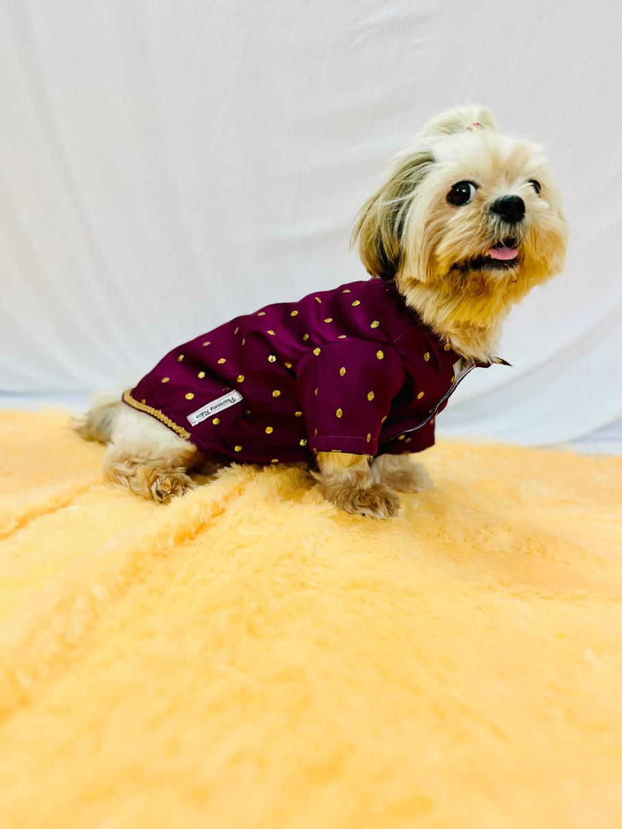 Festive Wine-Red Gold Polka Ethnic Kurta for Pets