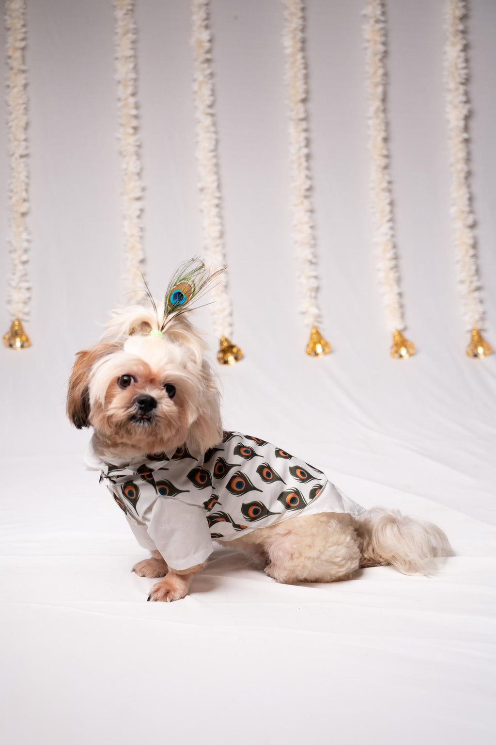 Festive Peacock Feather Print Kurta Shirt with Jacket for Small Dogs