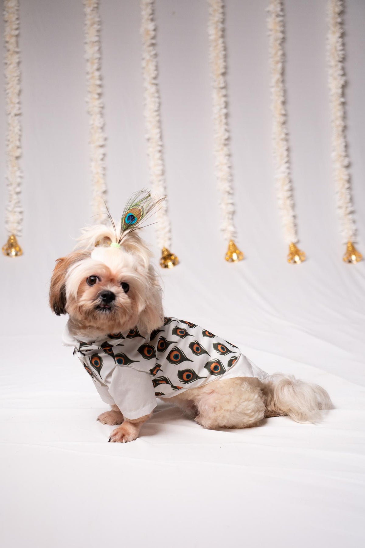 Festive Peacock Feather Print Kurta Shirt with Jacket for Small Dogs