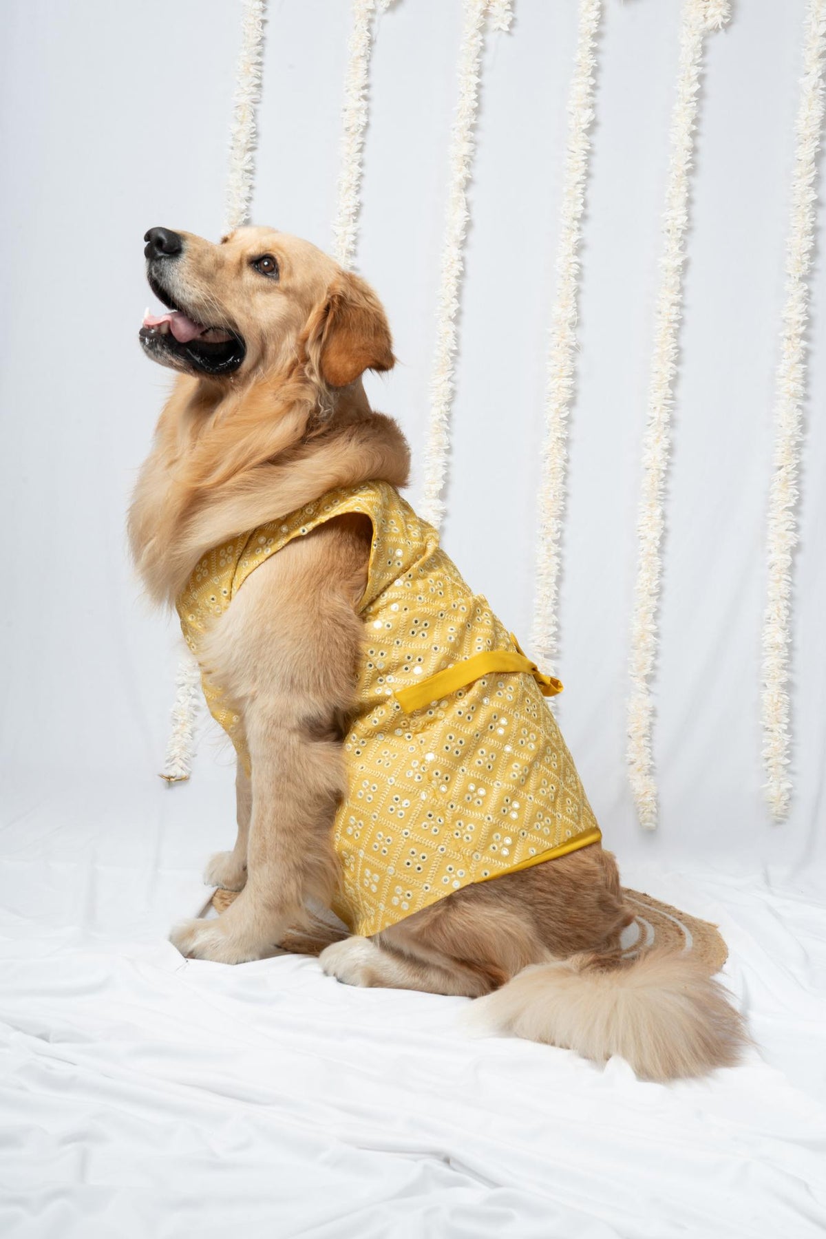 Festive Yellow Mirror-Work Traditional Angrakha Kurta for Dogs
