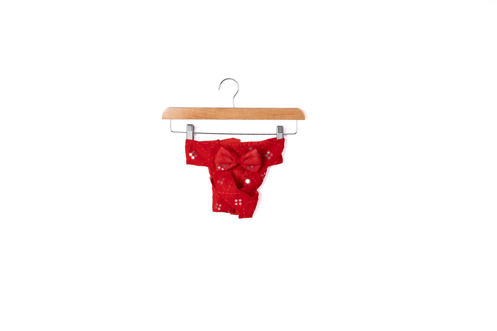 Festive Crimson Red Mirror-Work Ethnic Lehenga Dress for Dogs