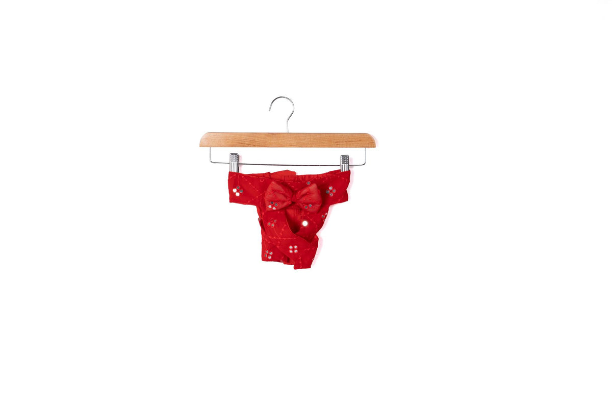 Festive Crimson Red Mirror-Work Ethnic Lehenga Dress for Dogs