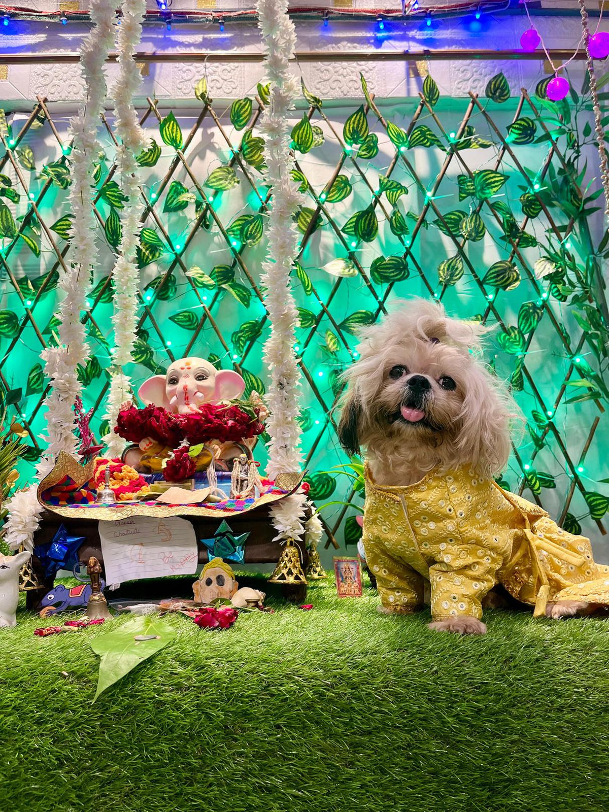 Festive Yellow Mirror-Work Traditional Angrakha Kurta Dress for Dogs