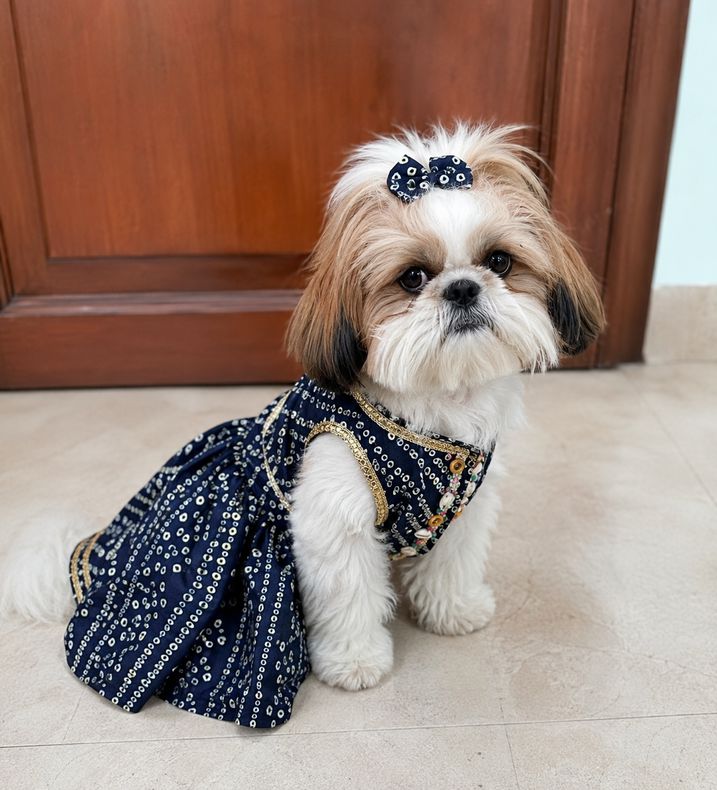 Festive Navy Blue Bandhani Print Ethnic Dress for Small Dogs